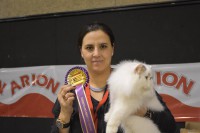 /album/fotogaleria-exposiciones3/a12670382-10208956202721774-6257009456741306023-n-1-jpg/